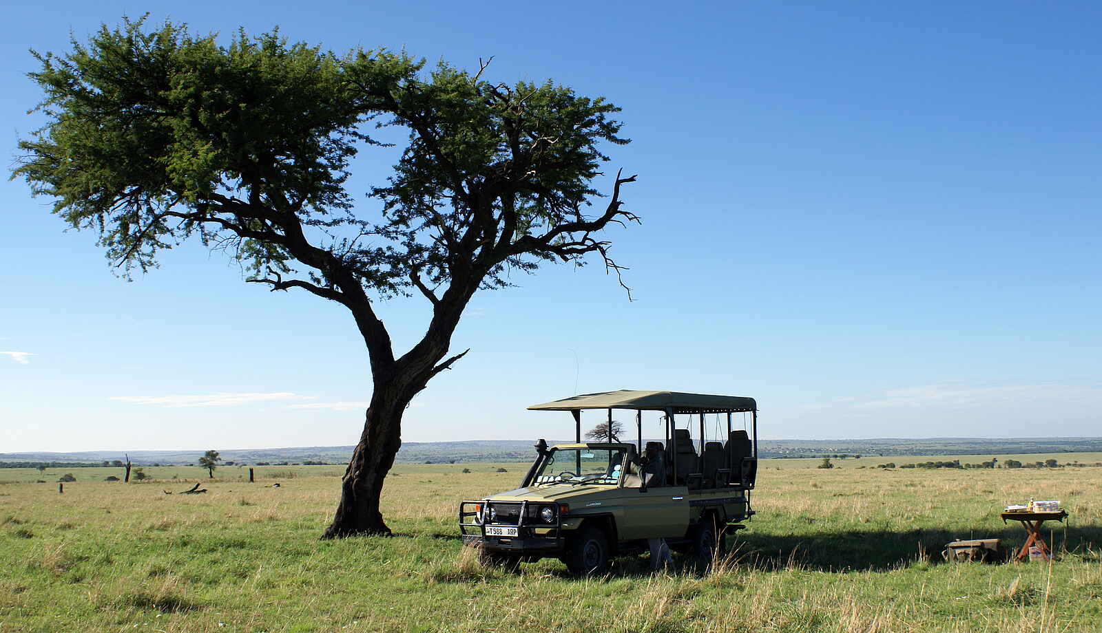 Sayari Camp: Picknick unter einem Baum Sayari Camp: Picknick unter einem Baum