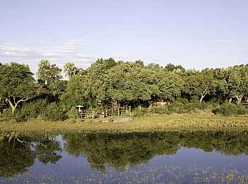Tubu Tree: Camp unter Bäumen Tubu Tree: Camp unter Bäumen