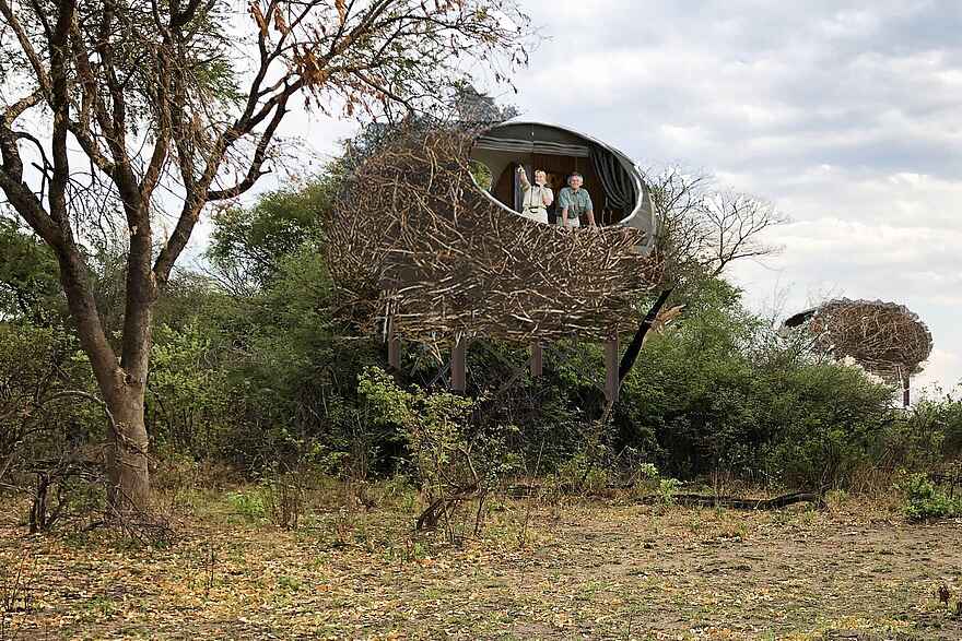Chisa Busanga Camp: Vogelnester auf Holzplattformen Chisa Busanga Camp: Vogelnester auf Holzplattformen