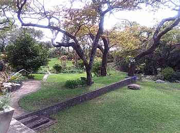 Clever's Lake View Resort: Rasen Clever's Lake View Resort: Rasen