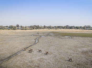 Splash Camp: Natürliches Wasserloch vor dem Camp