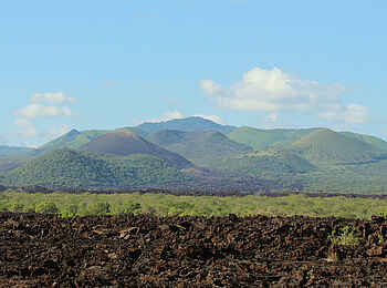 Finch Hattons: Shetani Lava Feld