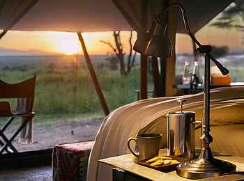 Legendary Songa Migrational Camp: Blick nach draußen