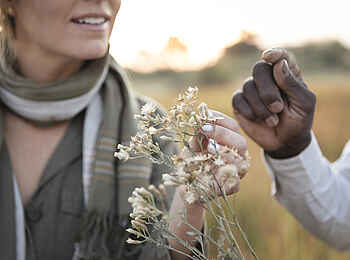 Little Mombo Camp: Game Walk