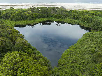 Loango Savannah Camp: Lagune