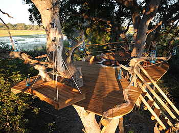 Macatoo Camp: Holzplateau im Baum