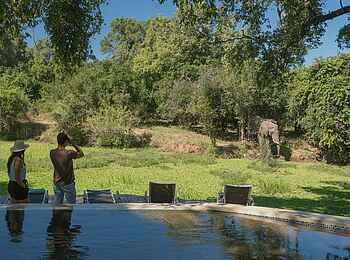 Nkwali Camp: Elefant am Pool