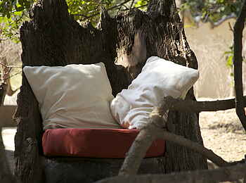 Tena Tena Camp: Natur-Sessel