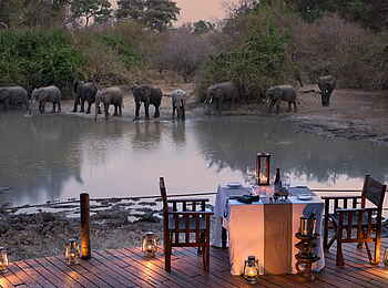 Kanga Expeditions: Dinner in Gegenwart der Elefanten