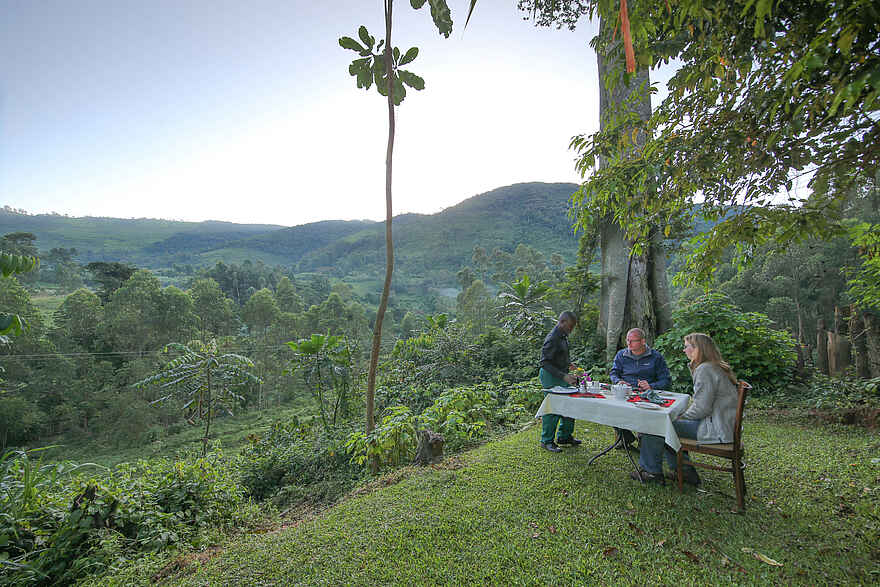 Mahogany Springs Safari Lodge: Dinner im Freien Mahogany Springs Safari Lodge: Dinner im Freien