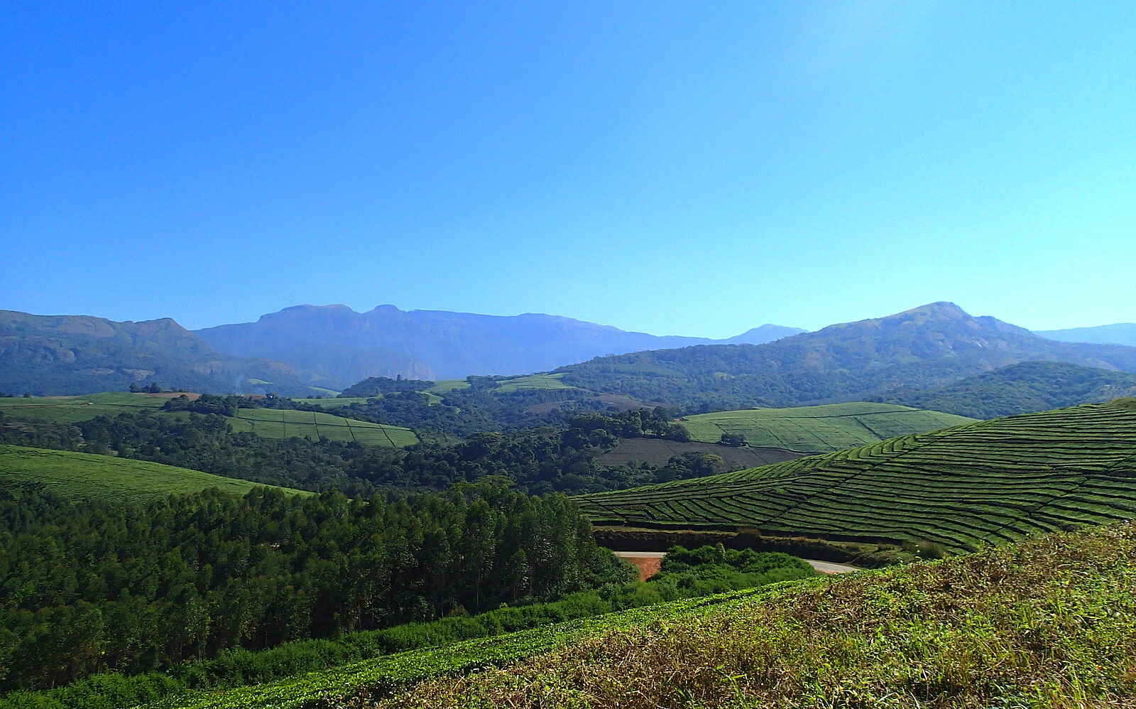 Musangano Lodge: Blick in das Honde Valley Musangano Lodge: Blick in das Honde Valley