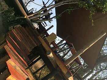 Ntemwa Busanga Bushcamp: Holzdeck