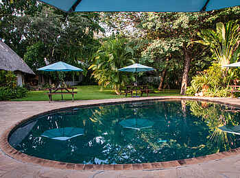 Bayete Guest Lodge: Am Pool
