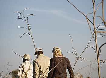 Chada Katavi Camp: Wanderung