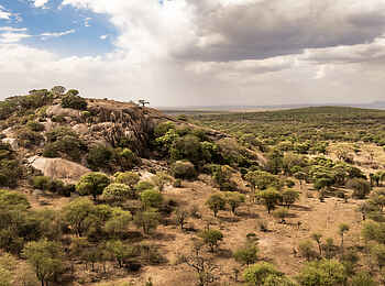 Charlie Serengeti Safari Camp: Landschaft
