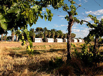 Kalahari Farmhouse: Gästechalets Kalahari Farmhouse: Gästechalets