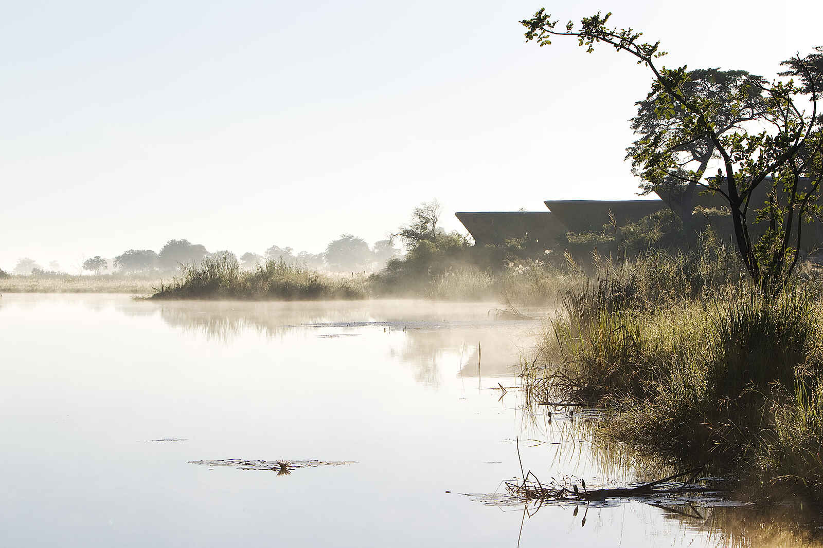 Lagoon Camp: Chalets im Morgendunst Lagoon Camp: Chalets im Morgendunst
