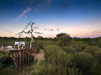 Lion Sands Chalkley Treehouse: Umgebung der Anlage Lion Sands Chalkley Treehouse: Umgebung der Anlage