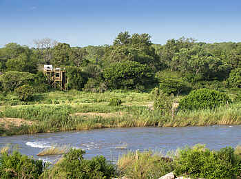 Lion Sands Tinyeleti Treehouse: Baumhaus aus der Ferne
