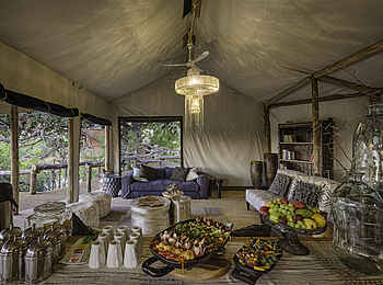 Little Tubu: Lunch Little Tubu: Lunch