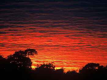 Machaba Camp: Glühender Abendhimmel Machaba Camp: Glühender Abendhimmel