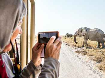 Onguma Forest Camp: Auf Pirschfahrt