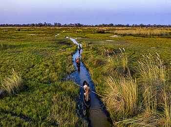 Sable Alley Camp: Mokorofahrt im Delta