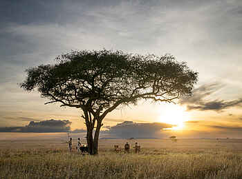 Serengeti Woodlands Camp: Dämmerung