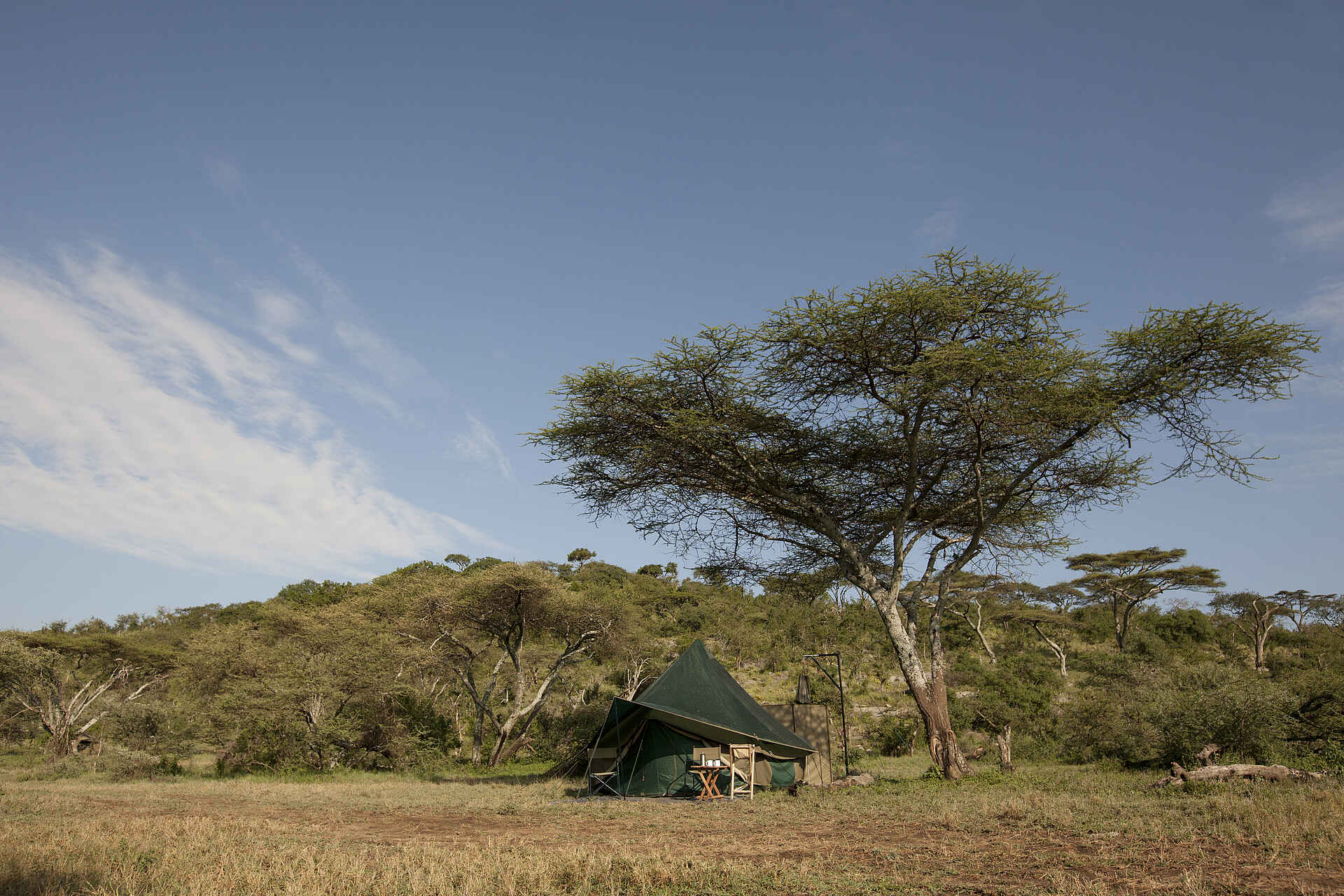 Naabi Hill, Serengeti, Tansania, Wayo Nabi Green Camp, Wayo Africa, Akazie, Gästezelt, Afrikarma, Afrikarma Safaris, Afrikarma Safaris – Wildnis. Hautnah., afrikarma.de