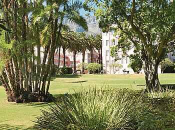 Belmond Mount Nelson Hotel: Im Garten