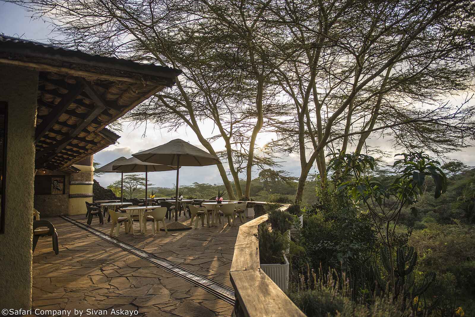 Hatari Lodge: Haupthaus-Terrasse Hatari Lodge: Haupthaus-Terrasse