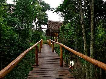 Ishasha Wilderness Camp: Dschungelbrücke Ishasha Wilderness Camp: Dschungelbrücke