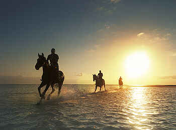 LUX Belle Mare: Reiten am Strand LUX Belle Mare: Reiten am Strand