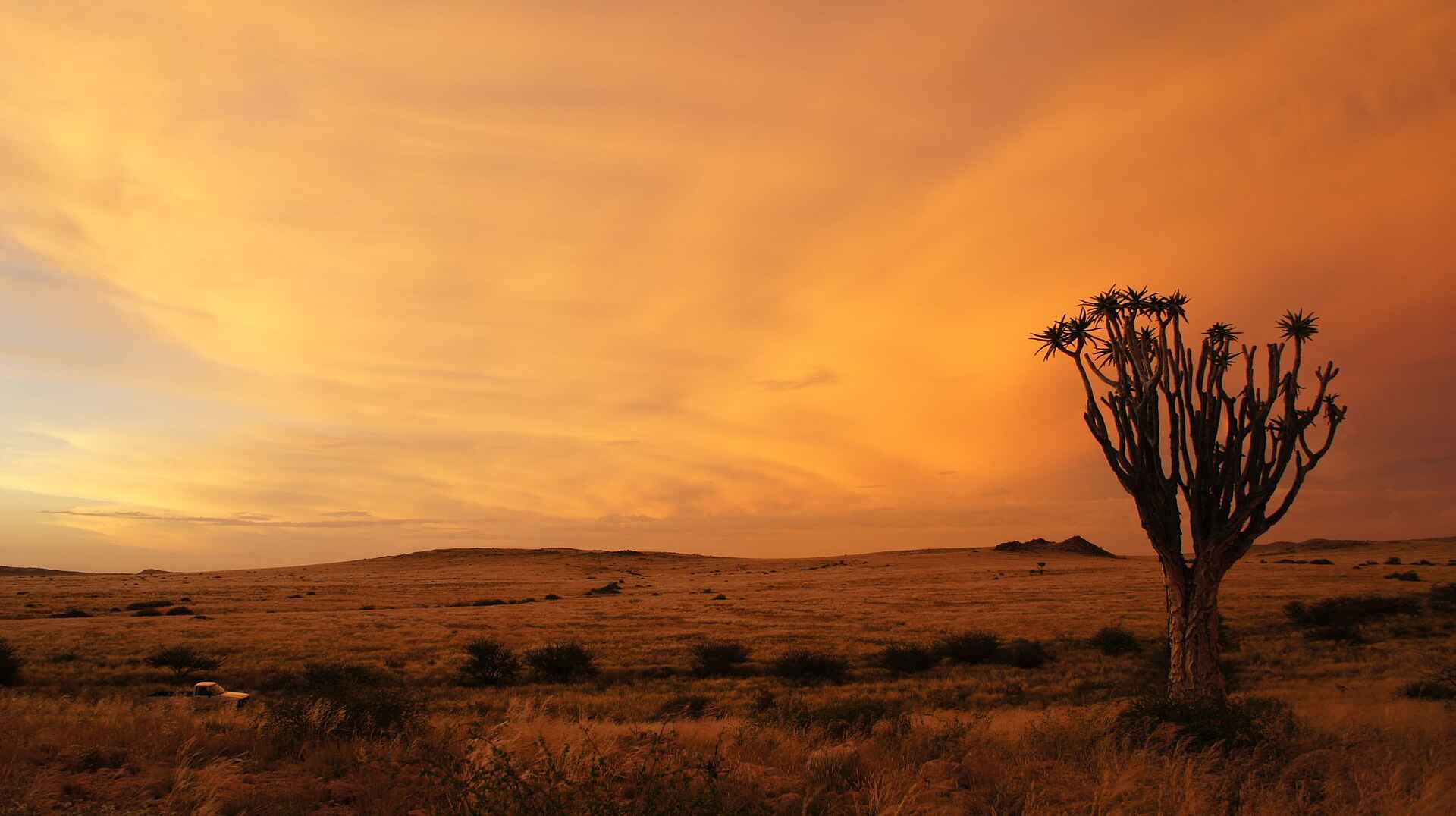 Etosha National Park, Okutala African Quest, Okutala Lodge, Xplorer Experience, Steppe, Trockenland, Afrikarma, Afrikarma Safaris, Afrikarma Safaris – Wildnis. Hautnah., afrikarma.de
