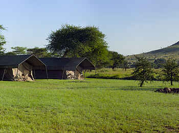 Ronjo Camp: Blick entlang der Gästezelte