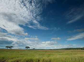 Serengeti Serena Safari Lodge: Himmel über der Serengeti