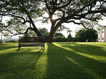 Victoria Falls Hotel: Gepflegter englischer Rasen