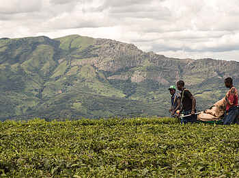 Aberfoyle Lodge: Feldarbeiter Aberfoyle Lodge: Feldarbeiter