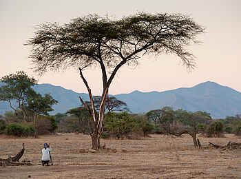 Baines River Camp: Fotograf Baines River Camp: Fotograf
