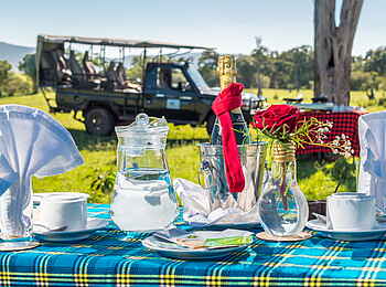 Losokwan Camp: Frühstück im Busch