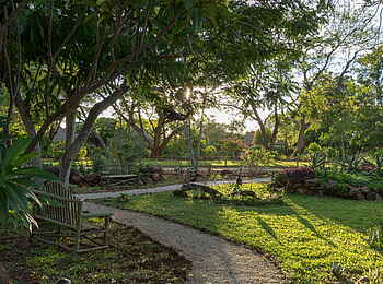 Musangano Lodge: Wandelpfade im Garten