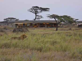 Namiri Plains Camp: Löwenbesuch