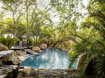 Singita Ebony Lodge: Der Pool Singita Ebony Lodge: Der Pool