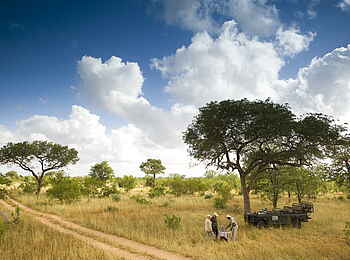 &Beyond Ngala Safari Lodge: Pause während der Pirschfahrt