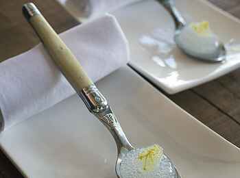 Duba Plains Camp: Sorbet