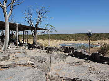 Halali Camp: Blick zum Wasserloch Halali Camp: Blick zum Wasserloch