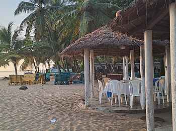 Hotel Tropicana: Restaurant unter Palmen