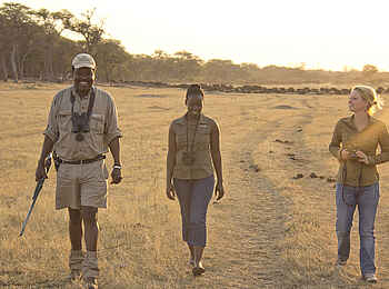 Khulu Bush Camp: Walking Safari Khulu Bush Camp: Walking Safari