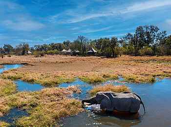 Khwai Lediba: Elefant vor dem Camp Khwai Lediba: Elefant vor dem Camp