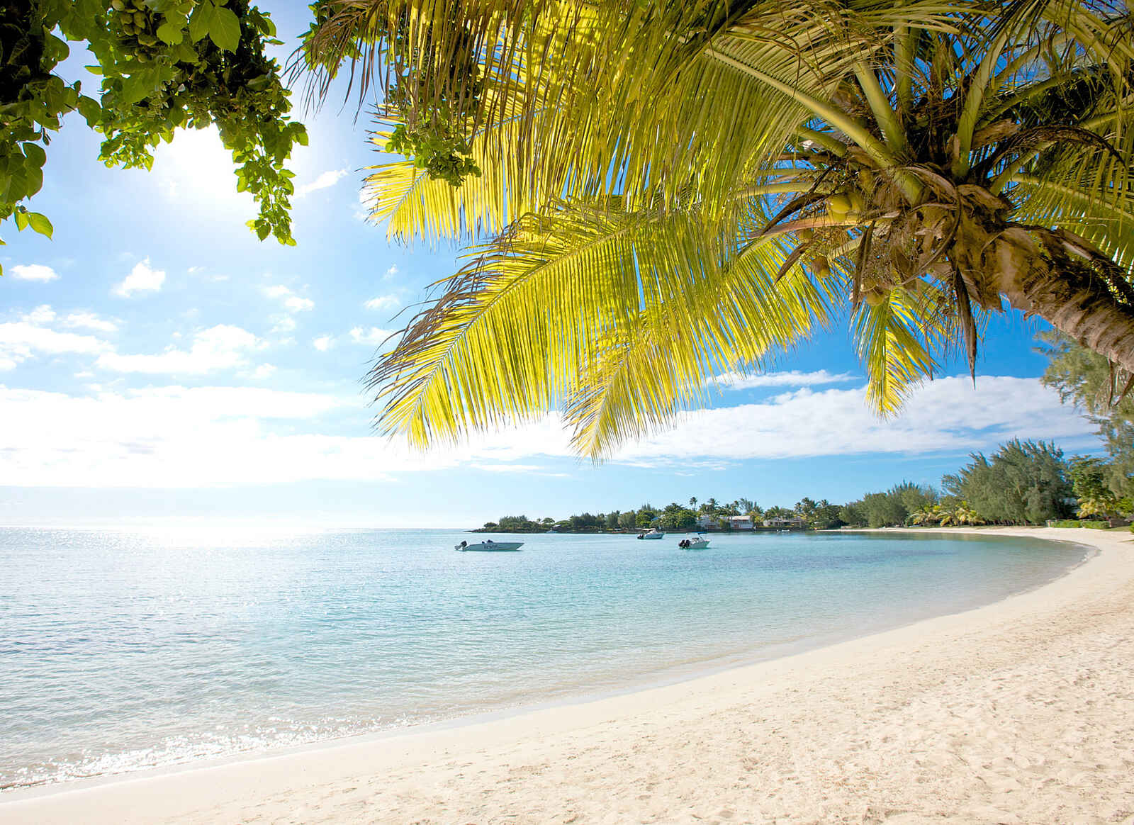 LUX Grand Baie: Der Strand LUX Grand Baie: Der Strand